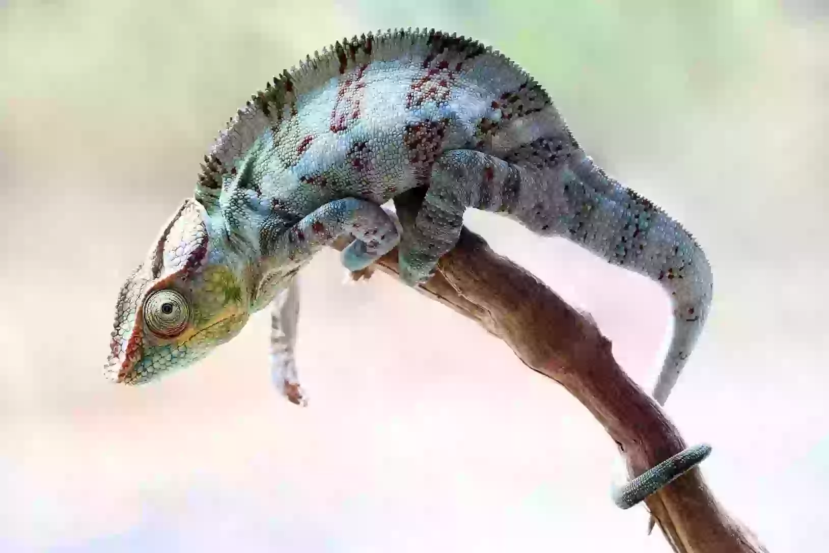 Модификация с quality=1