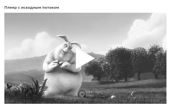 Player with source stream